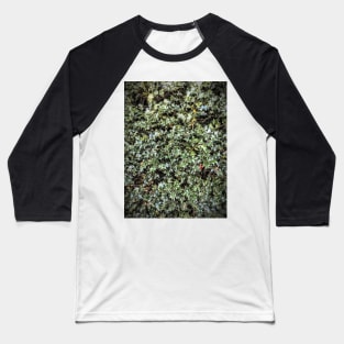 Holly Baseball T-Shirt